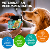 Dog Calming Chews