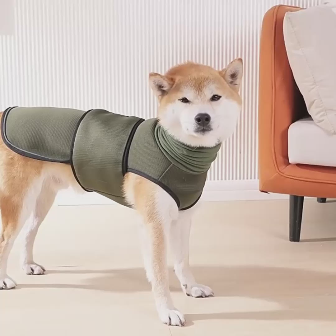 Dog Anxiety Vest with Calming Hoodie
