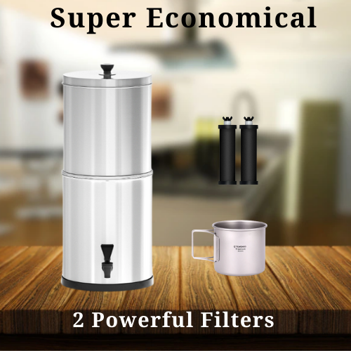 PORTABLE FILTER