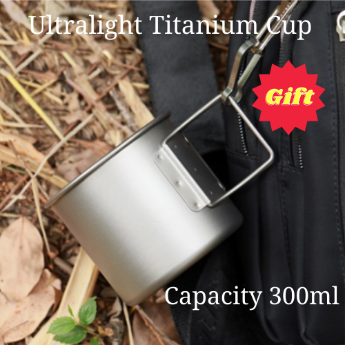 PORTABLE FILTER